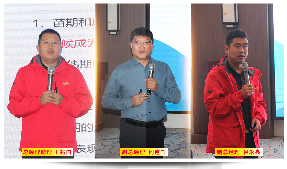 1635731666360408.png 3.png